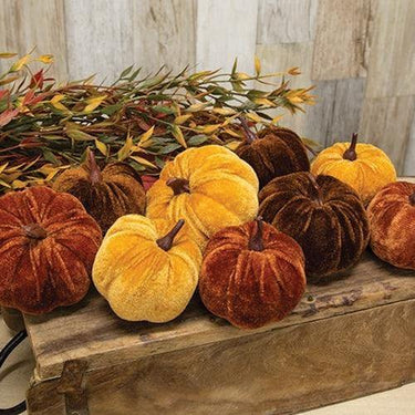 9 Bag Velvet Harvest Pumpkins - The Fox Decor